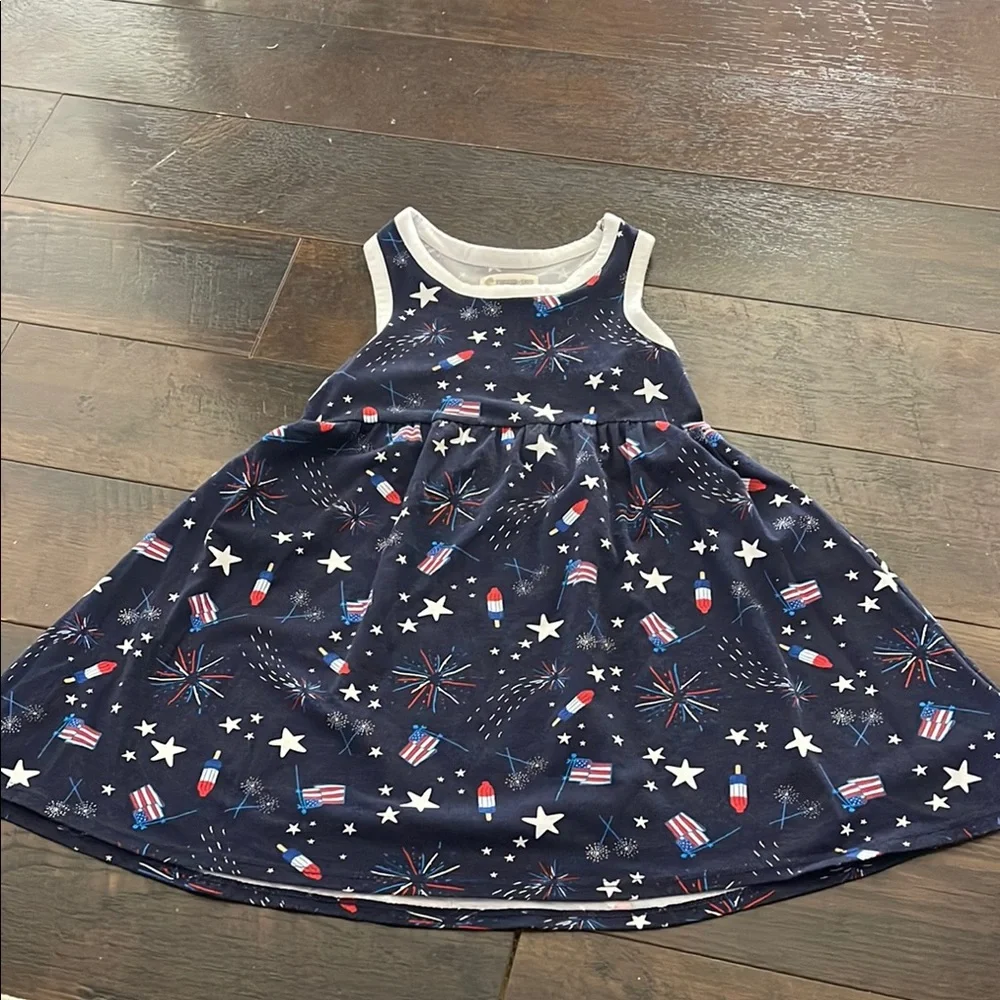 Patriotic Sleeveless Dress - Picture 1 of 4